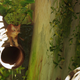 A cat prepares to jump between two pipes in Stray.